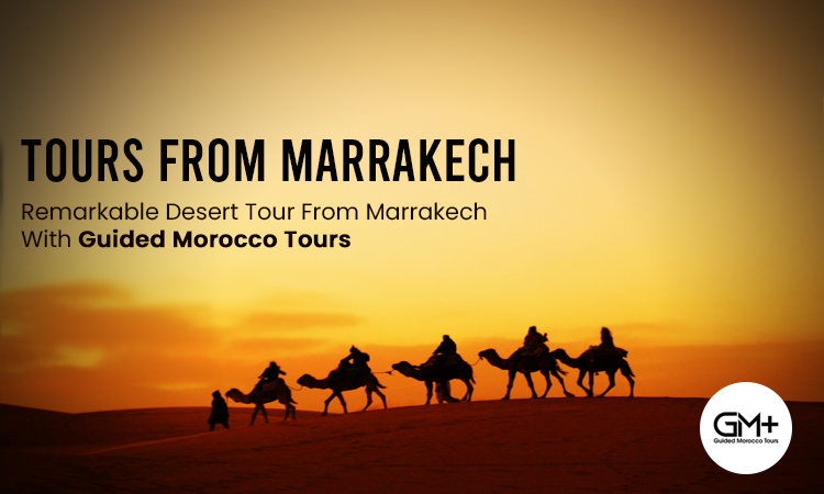 tours from Marrakech