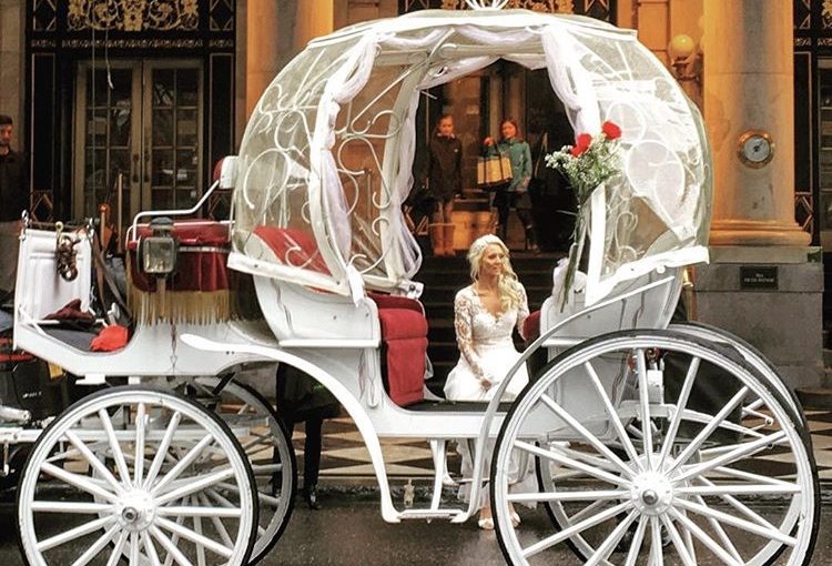 Central Park Carriage Tours